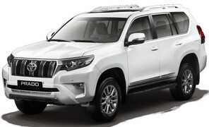 Диагностика тормозной системы Toyota Land Cruiser Prado