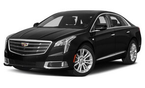 Замена задних тормозных колодок (барабан) Cadillac XTS